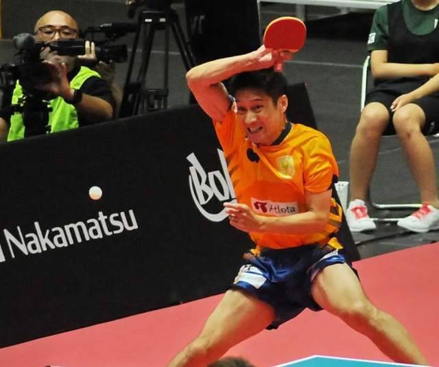 兼具观赏性 兼具观赏性